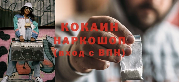 сатива Кулебаки