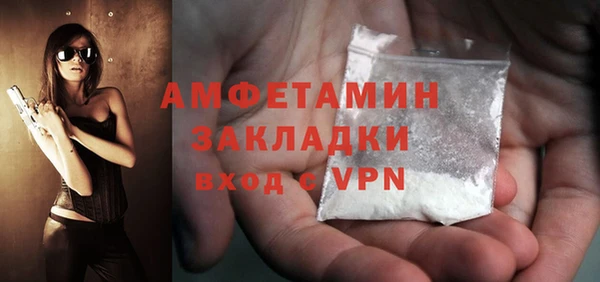 сатива Кулебаки