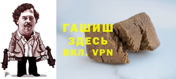 сатива Кулебаки