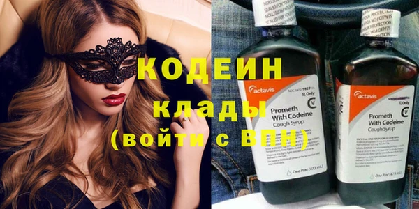 сатива Кулебаки