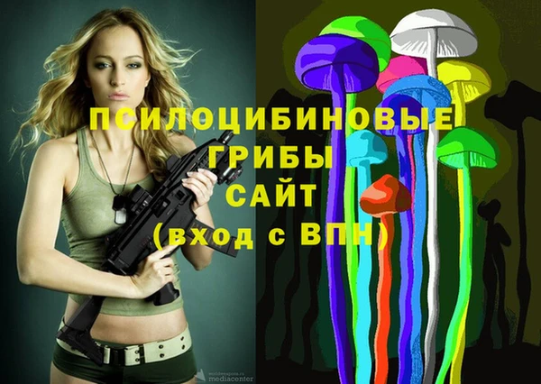 сатива Кулебаки