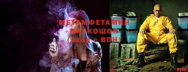сатива Кулебаки