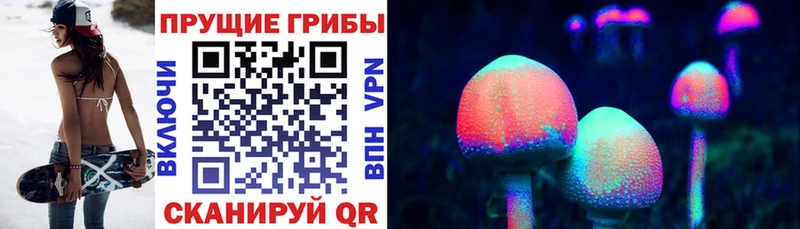 где продают   Кушва  Псилоцибиновые грибы Psilocybine cubensis 