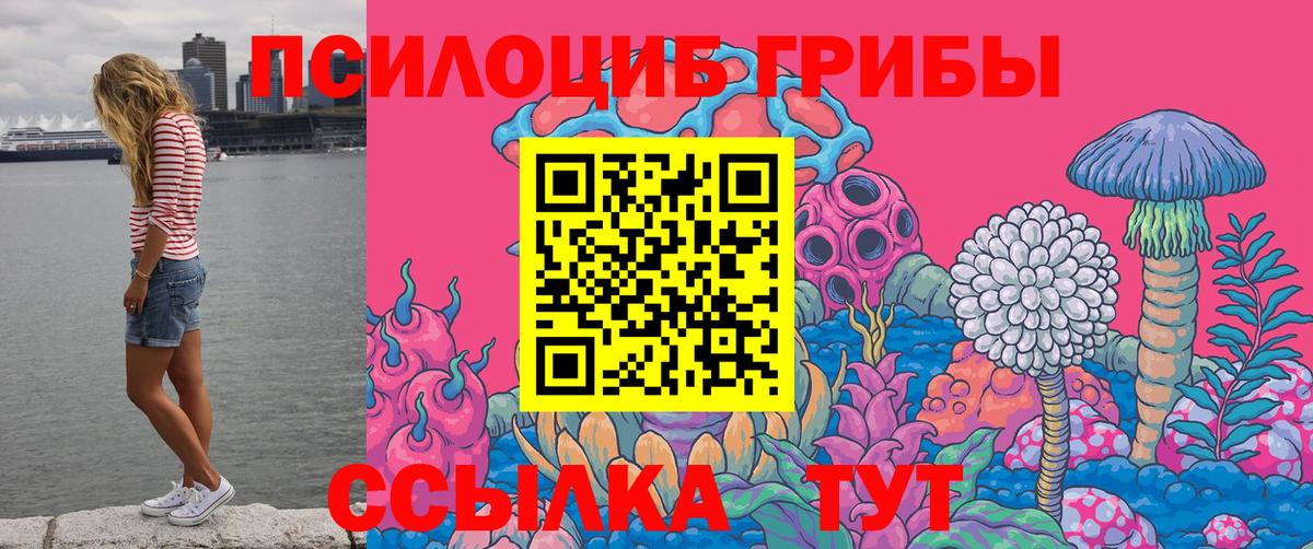 Кушва  Псилоцибиновые грибы Psilocybine cubensis  Вход с VPN  Псилоцибиновые грибы Psilocybine cubensis 